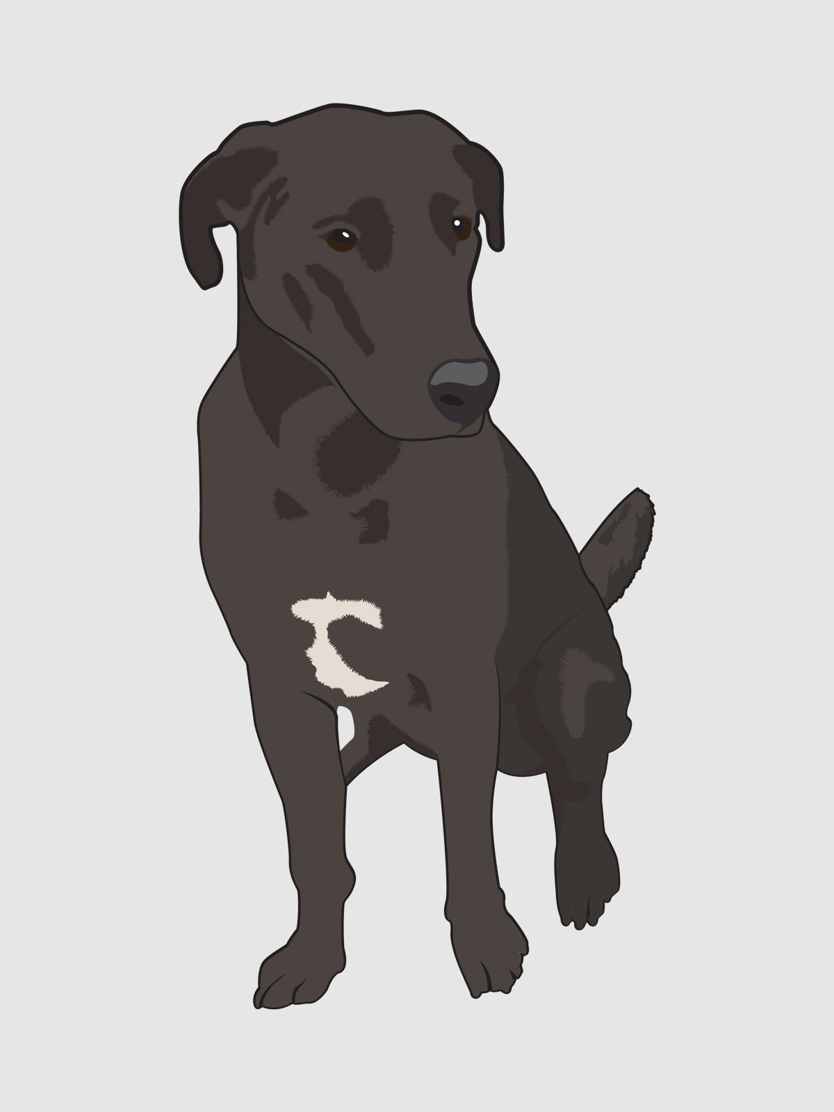 Canine Crew Illustration #1