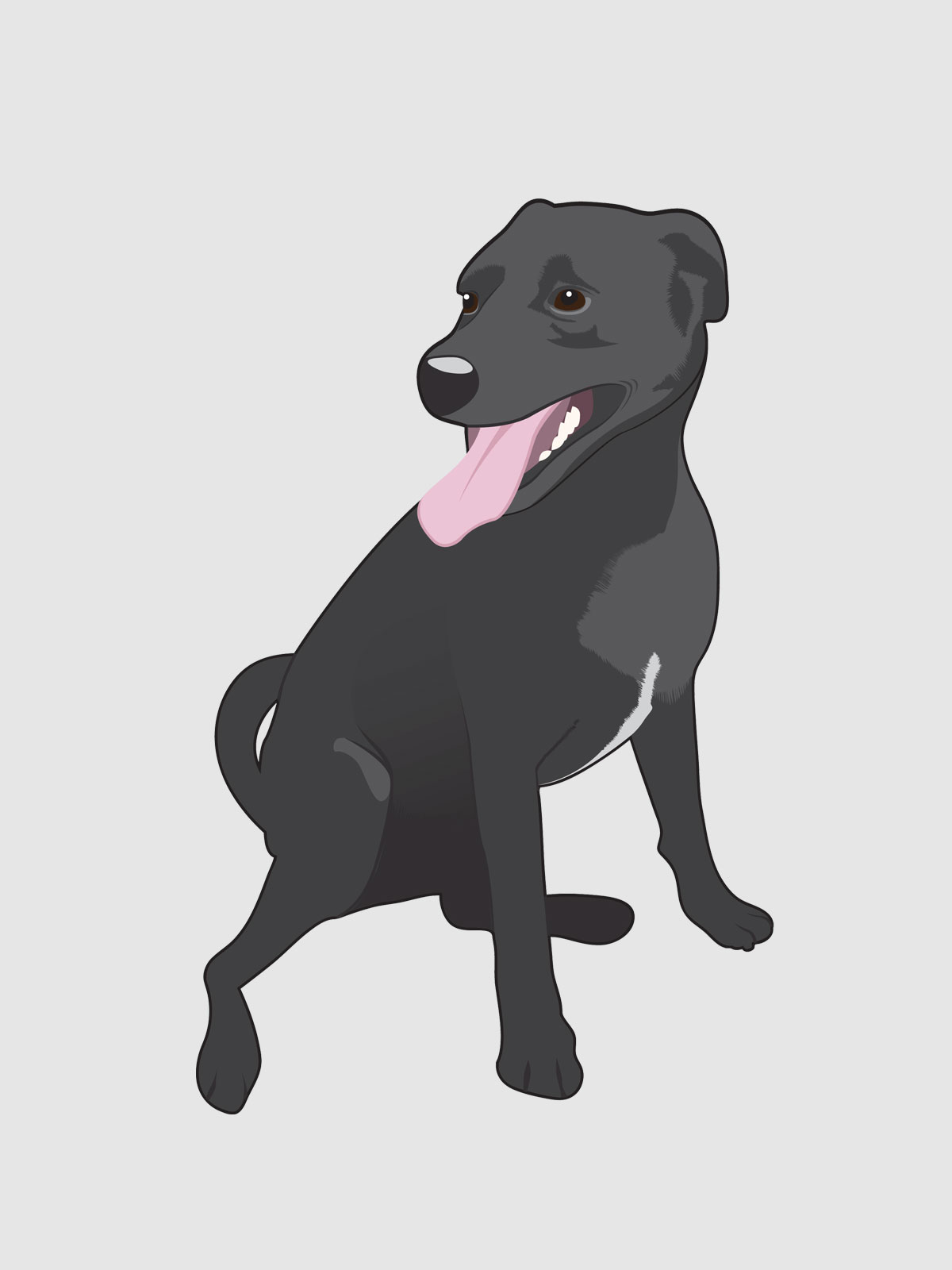 Canine Crew Illustration #2