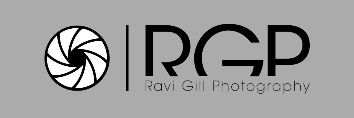 Phone Maverick brand identity breakdown